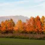 Novembre 2015 - Colori autunnali e il Monte Baldo. La foto, scattata da Diego Bortignon il 7 novembre, ben rappresenta l’autunno appena trascorso, caratterizzato da frequenti condizioni anticicloniche con temperature molto calde per il periodo in montagna e cielo per lo più sereno. Il frequente afflusso di aria umida da nord-ovest in alta quota ha spesso causato qualche velatura del cielo per cirri e cirrostrati, come nella foto.