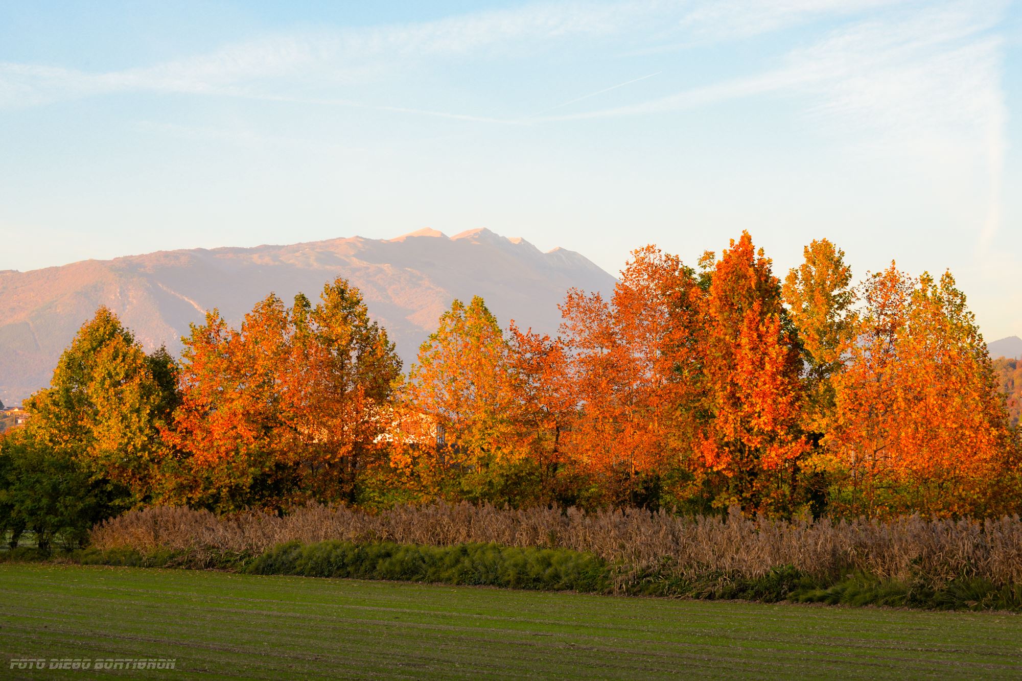Novembre 2015 - Colori autunnali e il Monte Baldo. La foto, scattata da Diego Bortignon il 7 novembre, ben rappresenta l’autunno appena trascorso, caratterizzato da frequenti condizioni anticicloniche con temperature molto calde per il periodo in montagna e cielo per lo più sereno. Il frequente afflusso di aria umida da nord-ovest in alta quota ha spesso causato qualche velatura del cielo per cirri e cirrostrati, come nella foto.