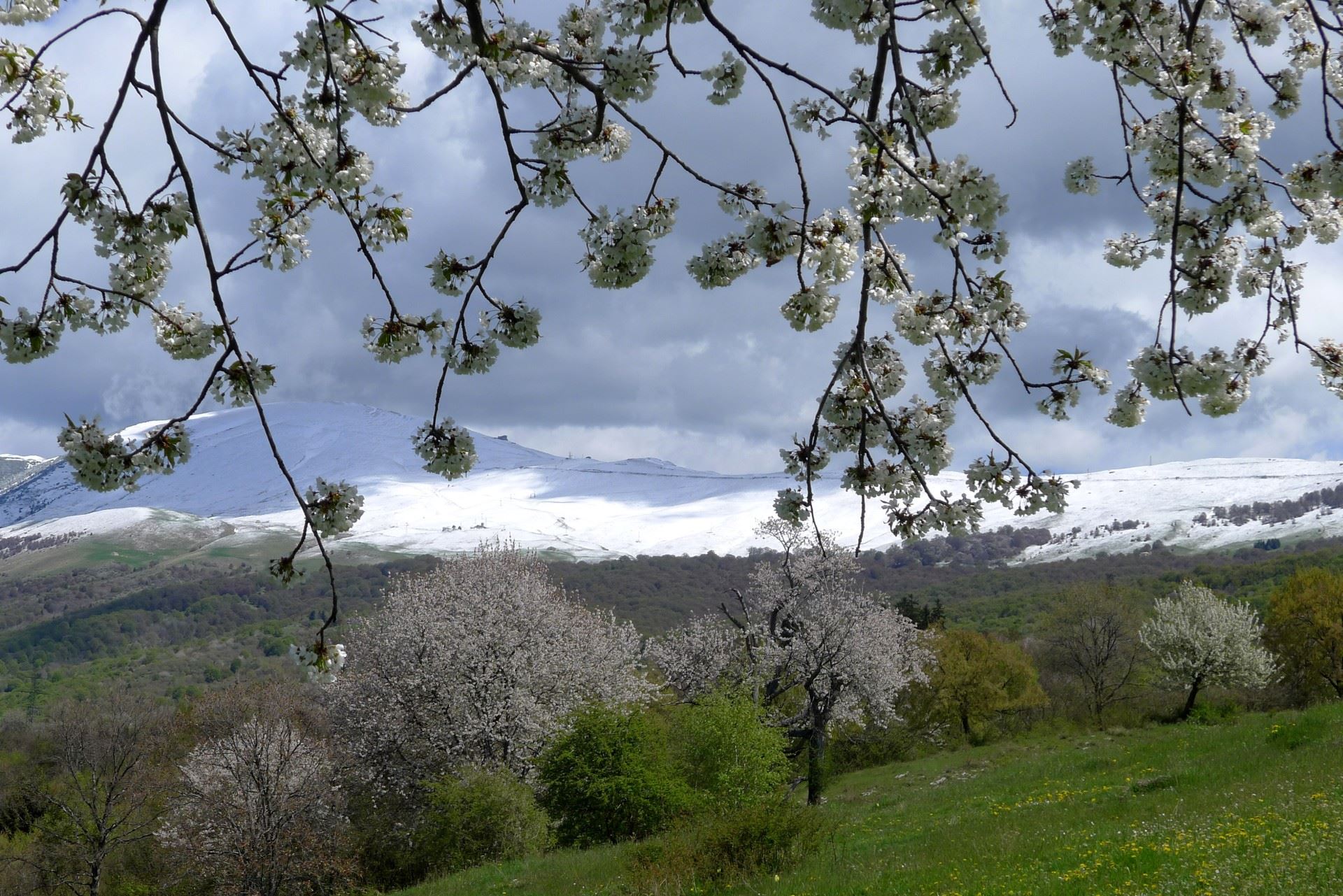 Aprile 2017 - Nella foto del mese di aprile di Vittore Giardini, due stagioni si incontrano. Dopo una prima parte del mese caratterizzata da temperature ben al di sopra della norma, nella seconda metà di aprile la neve è ricomparsa sulle cime del Monte Baldo.